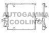 AUTOGAMMA 101565 Condenser, air conditioning